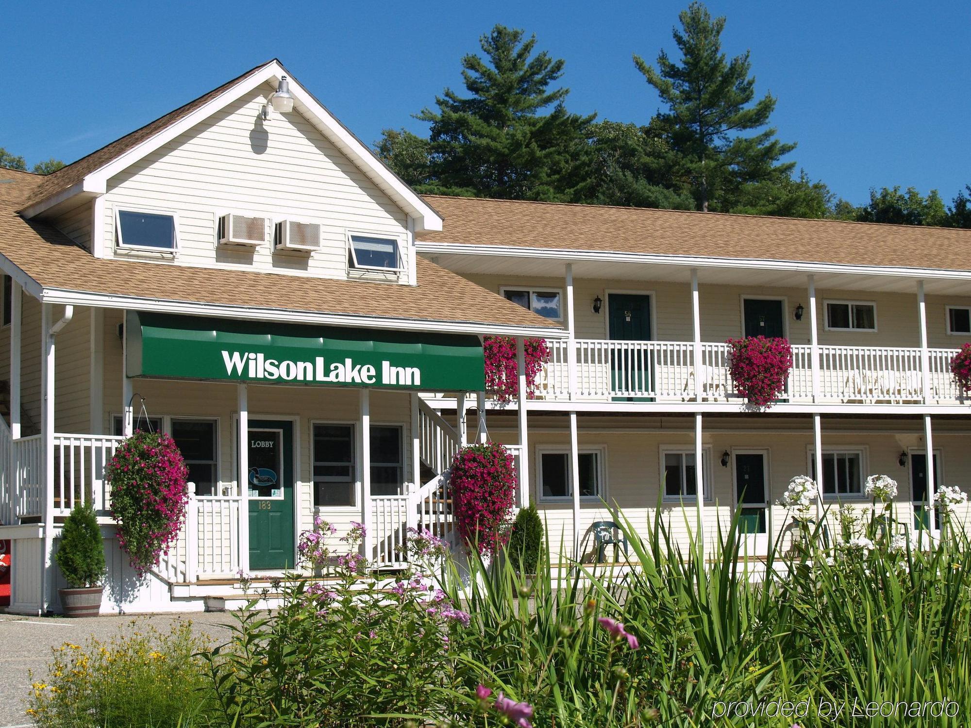 Wilson 2* Wilton